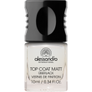 Top Coat Matt